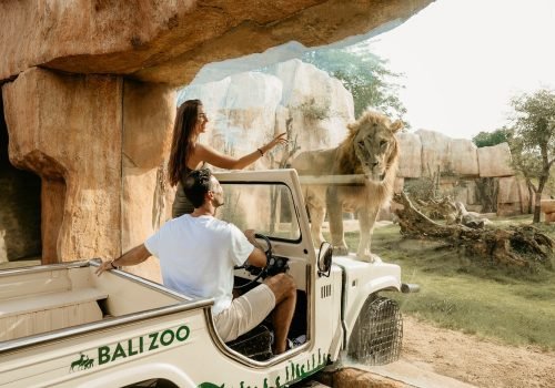 Bali Zoo 3
