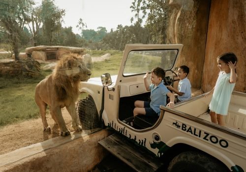 Bali Zoo 4