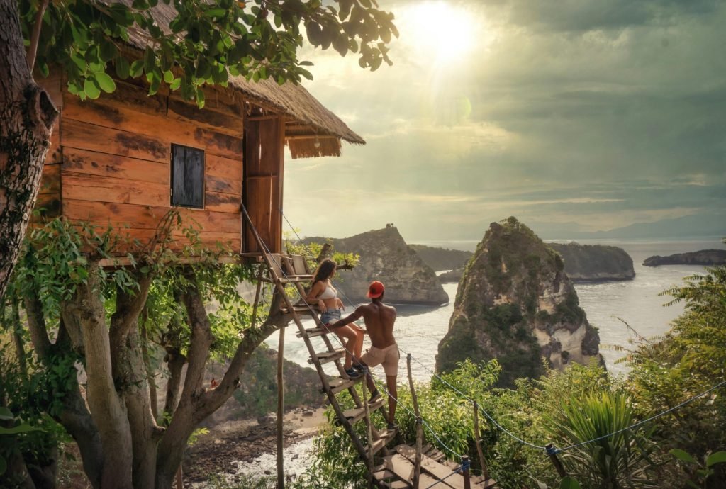 Rumah Pohon