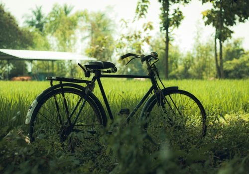 dhilip-antony-j2kdT4QSKRw-unsplash