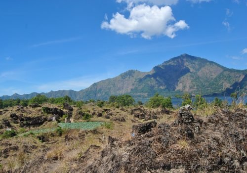 kintamani2