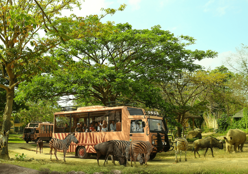taman safari2